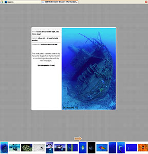 Nikon D2X Underwater Images